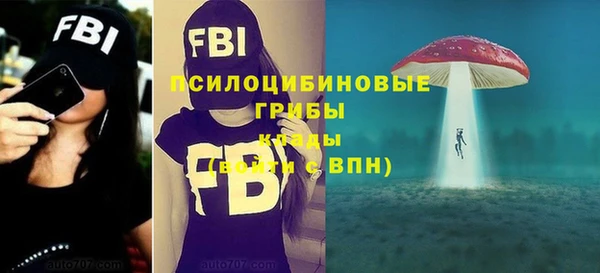 2c-b Алзамай