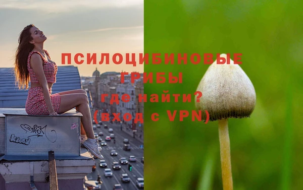 mix Алексеевка