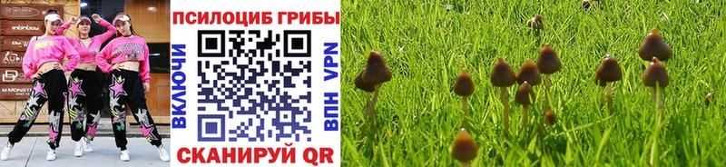 Галлюциногенные грибы MAGIC MUSHROOMS  сколько стоит  Кремёнки 